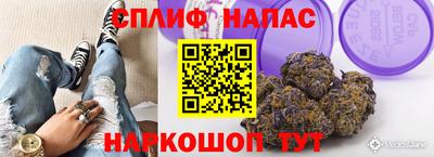 мдпв Ярославль