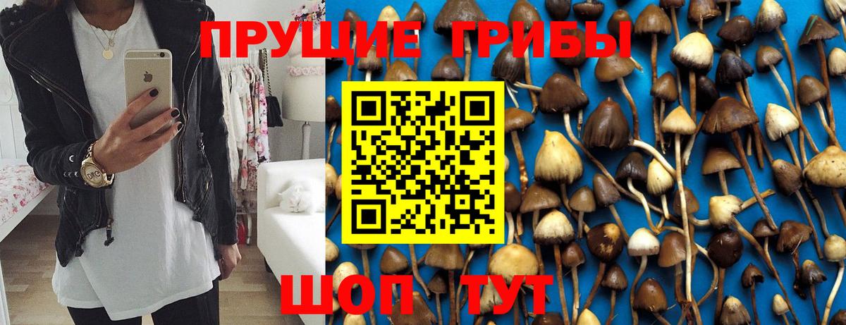 Великий Новгород  Псилоцибиновые грибы GOLDEN TEACHER  Вход с VPN 