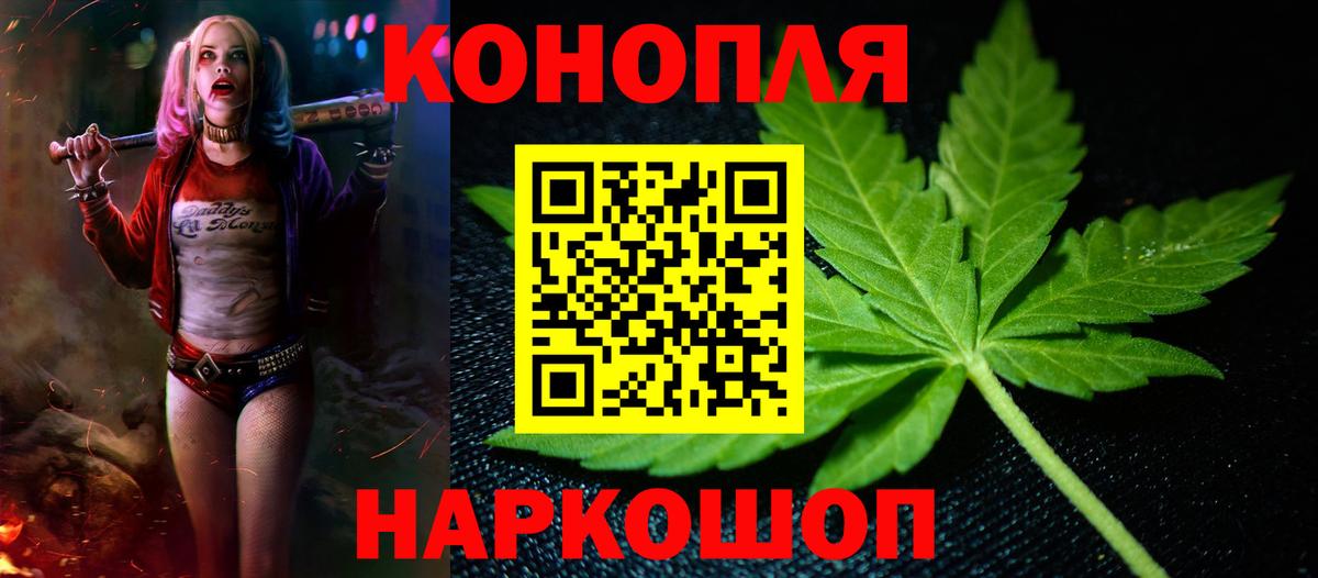 Шишки марихуана план Великий Новгород